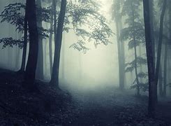 Image result for Evil Dark Scary Forest Wallpaper