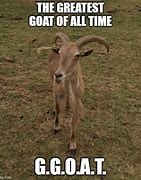 Image result for The G.O.a.t Meme