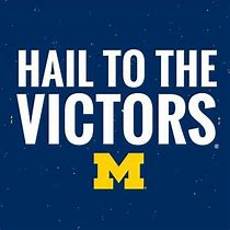 Image result for Football Fan Holding Go Blue Sign
