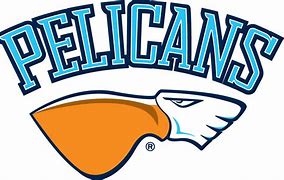 Image result for Pelican Africa Logo