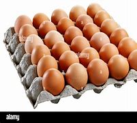 Image result for 1 Tray of Egg