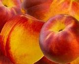 Image result for Peach Apple Hybrid
