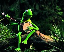 Image result for Kermit the Frog HD Wallpaper