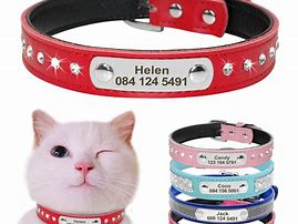 Image result for Funny Male Cat Collars