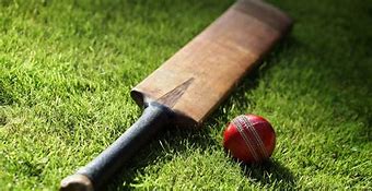 Image result for Cricket Betting Game