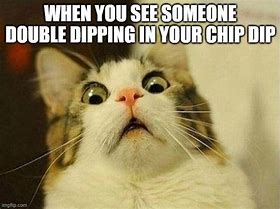 Image result for Cats and Dogs Eating Chips and Dip Meme