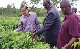 Image result for North Andros Farming