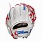 Image result for Wilson Baseball Gloves