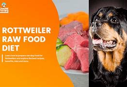 Image result for Raw Animal Food Diets