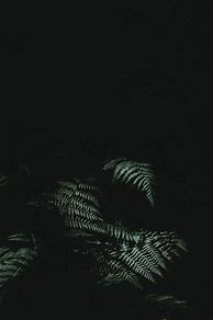 Image result for Matte Black iPhone Wallpaper