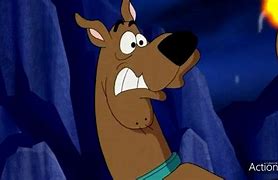 Image result for Scooby Doo Tail