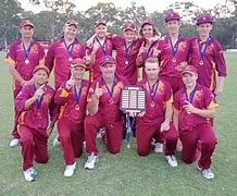 Image result for Gully Cricket Wicket