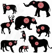 Image result for Animal Shooting Targets