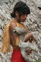 Image result for Girl with Pet Sloth