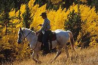 Image result for Casual Horse Riding Outfits