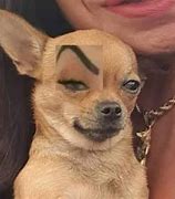 Image result for Sus Eyebrow Meme