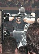 Image result for WWF Wrestling Hulk Hogan