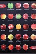 Image result for Types of Apple Products