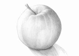 Image result for Realistic Apple Drawing Easy