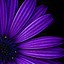 Image result for Wallpaper Purple Texture iPhone
