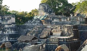 Image result for Acropolis of Tikal
