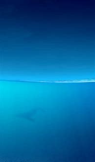 Image result for iPhone 5C Blue Wallpaper