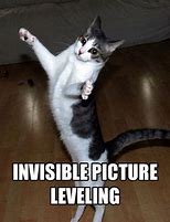 Image result for Invisible Cat Memes Pipe