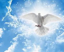 Image result for Holy Spirit Blue