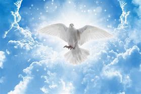 Image result for The Holy Spirit Blue Bird