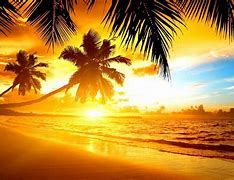 Image result for iOS 11 Beach Wallpaper