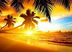 Image result for Tropical Scene Sunset Beach