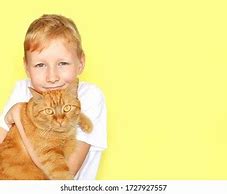 Image result for Red Kittens