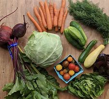 Image result for Vegetable CSA