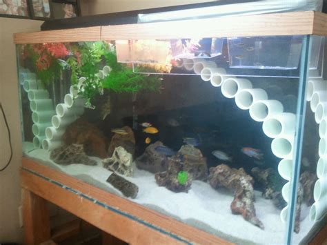 Image result for Selection Construct in Python
