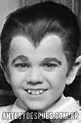 Image result for Eddie Munster Quotes