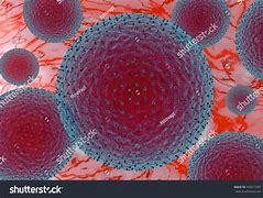 Image result for Chlamydia Pathogen