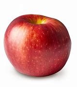 Image result for Vance Delicious Apple Variety