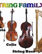 Image result for String Instruments Examples