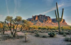Image result for Phoenix Arizona Nature