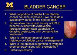 Image result for CIS Bladder Tumor