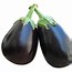 Image result for Eggplant Emoji PNG Transparent