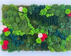 Image result for Moss and Preserved Flower