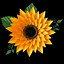 Image result for Free Paper Flower Petal Templates