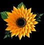 Image result for Cricut Paper Flower Petal Template