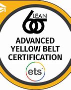 Image result for Lean Six Sigma Yellow Belt Logo