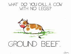 Image result for Visual Puns Examples