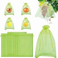 Image result for Fruit Like Bags