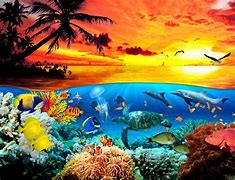 Image result for Ocean Life Wallpaper iPhone