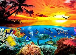 Image result for Sea Life Phone Backgrounds