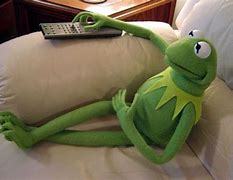 Image result for Kermit Funny Pics